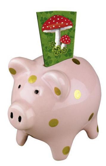 Die Spiegelburg Minisparschwein Glücksbringer 