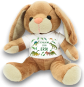 morepic-1