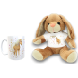 morepic-1