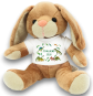 morepic-1